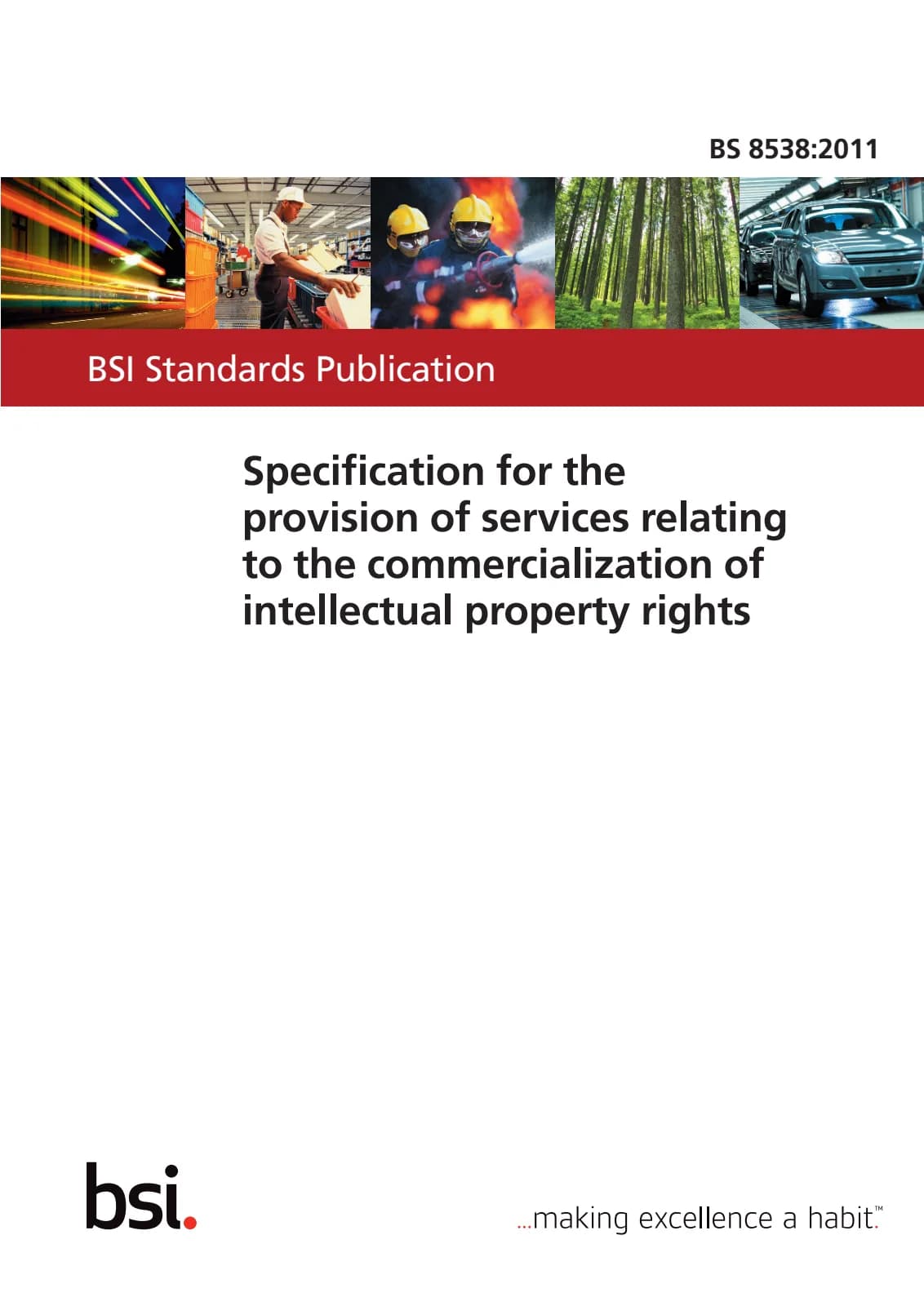 Первая страница стандарта BS 8538:2011