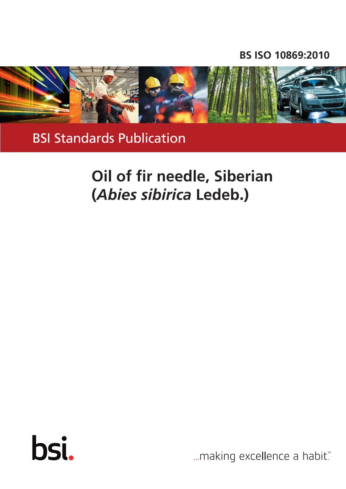 Первая страница стандарта BS ISO 10869:2010