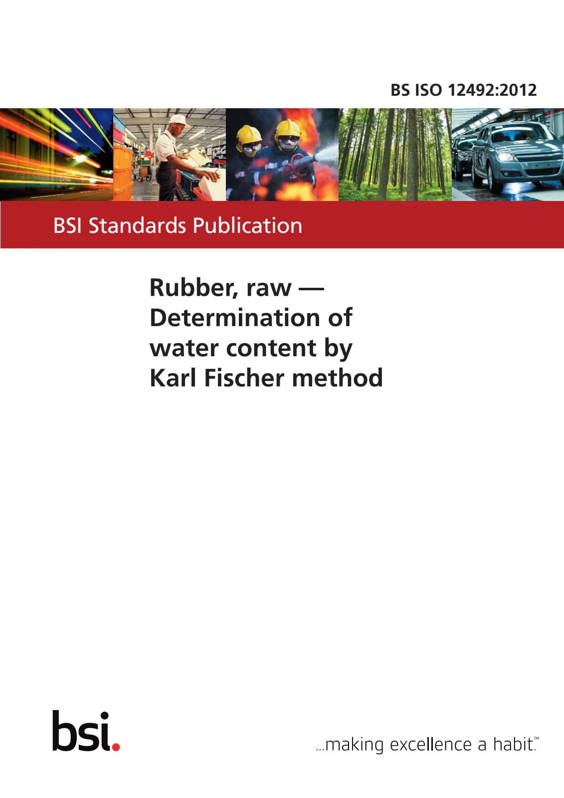 Первая страница стандарта BS ISO 12492:2012