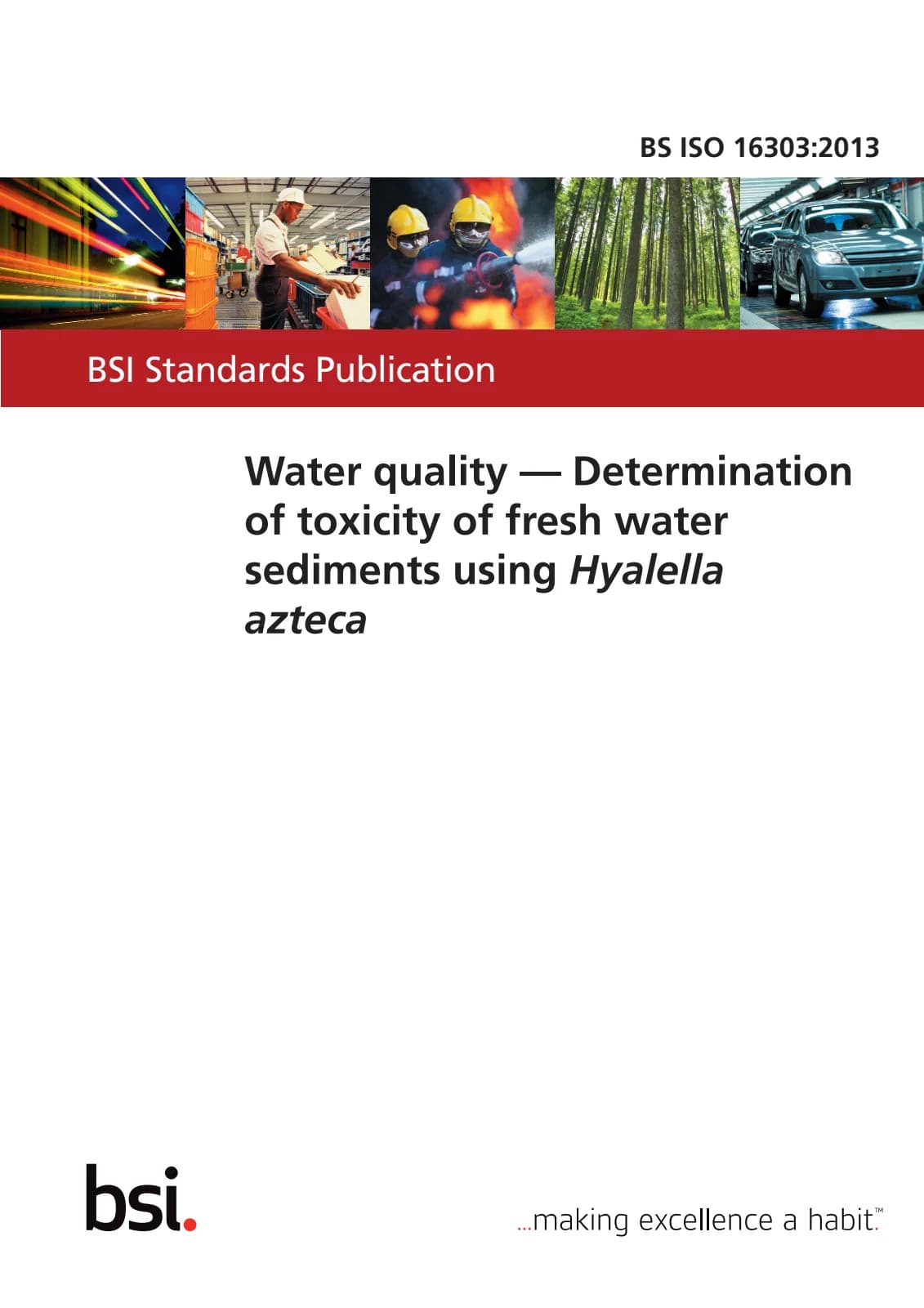 Первая страница стандарта BS ISO 16303:2013