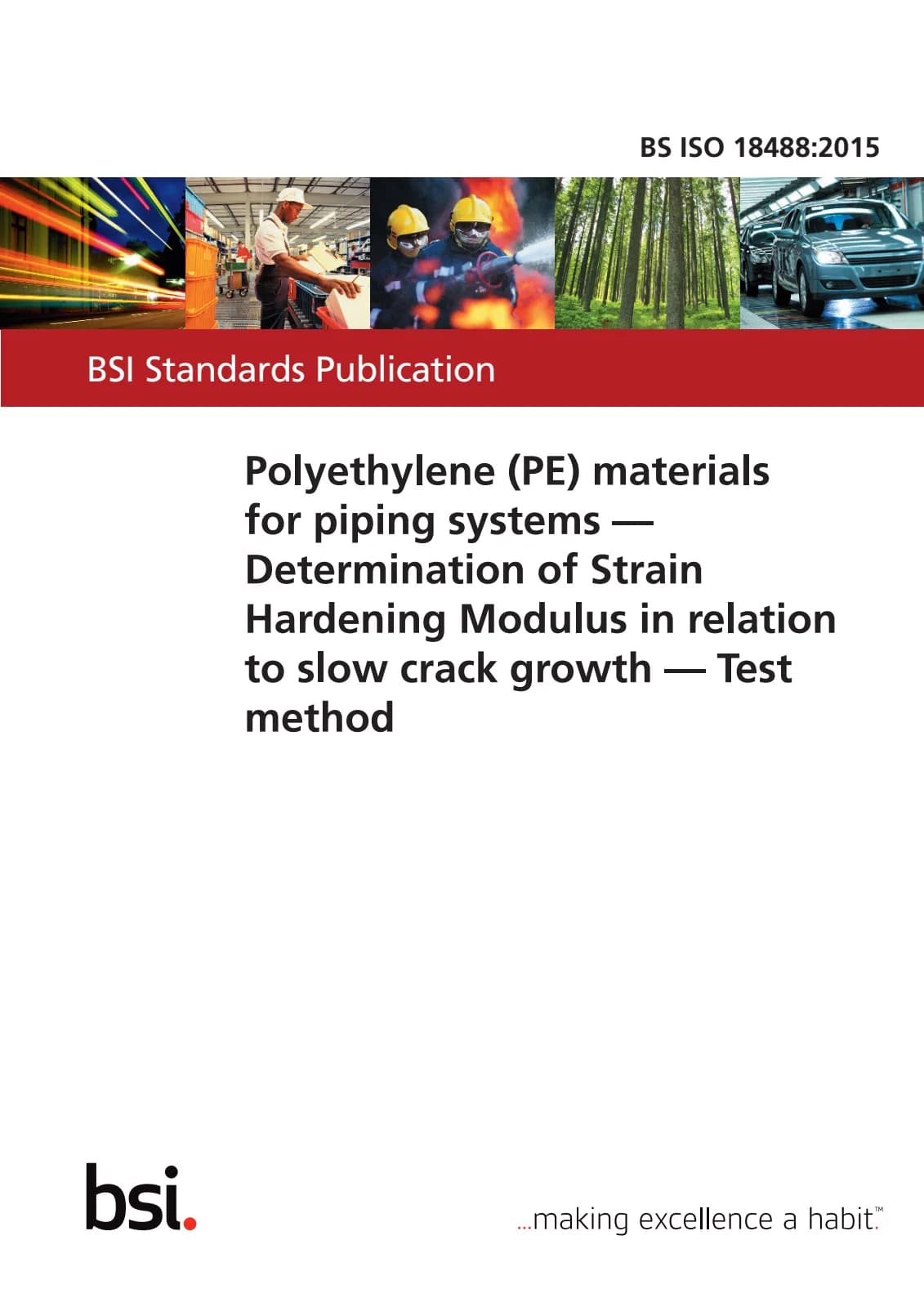 Первая страница стандарта BS ISO 18488:2015