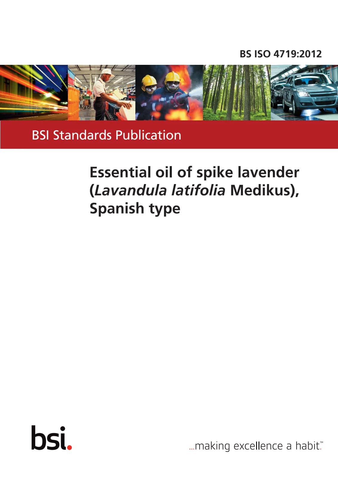 Первая страница стандарта BS ISO 4719:2012