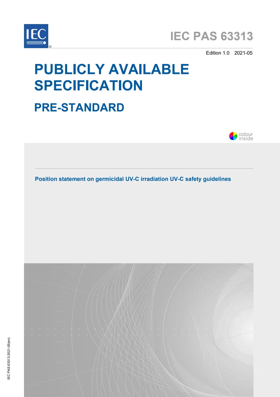 Первая страница стандарта IEC PAS 63313:2021