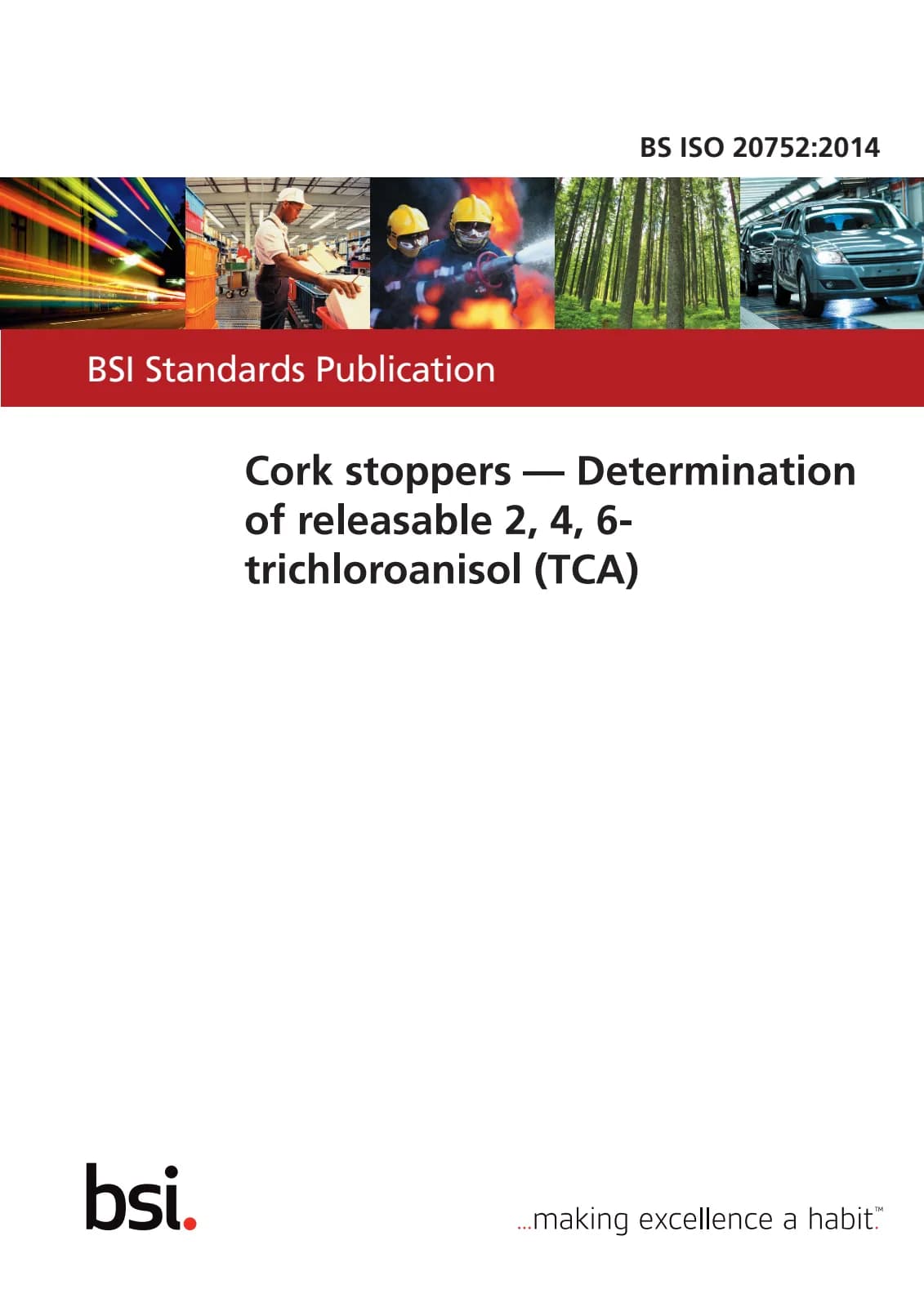 Первая страница стандарта BS ISO 20752:2014