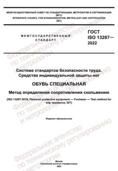 ГОСТ ISO 13287-2022