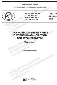 ГОСТ Р 58384-2019