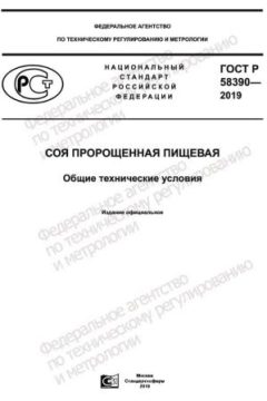 ГОСТ Р 58390-2019