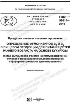 ГОСТ Р 58614-2019