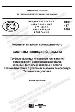 ПНСТ 487-2020