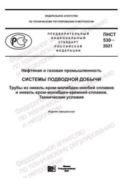 ПНСТ 530-2021