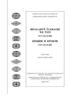 СНТ 2.03.10-2001*