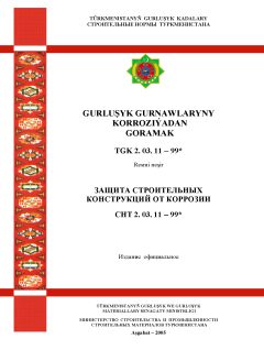СНТ 2.03.11-99*