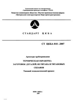 СТ ЦКБА 018-2007